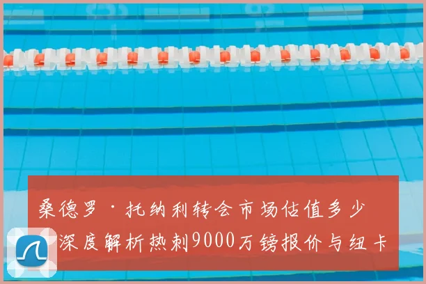 桑德罗·托纳利转会市场估值多少?深度解析热刺9000万镑报价与纽卡1亿镑坚持背后的谈判博弈